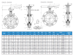 AYVAZ KV4 KELEBEK VANA LUG DN65 PN10/16
