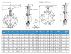 AYVAZ KV4 KELEBEK VANA LUG DN80 PN10/16