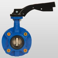 AYVAZ KV8 KELEBEK VANA LUG DN65 PN10/16
